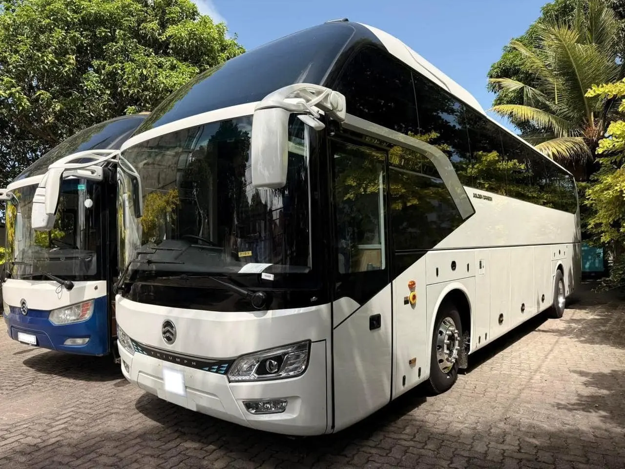 Triumph A/C Buses